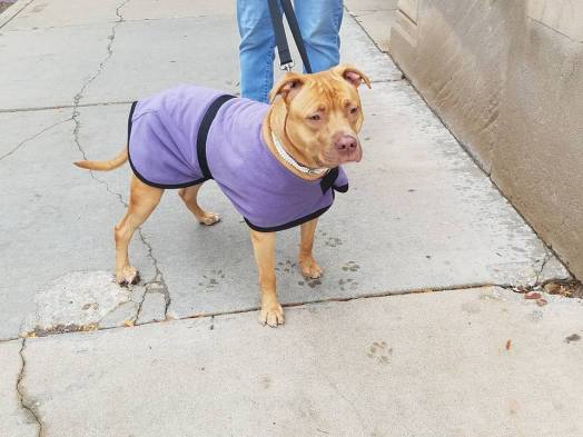 23031455_1478069695610331_1661628199634463959_n