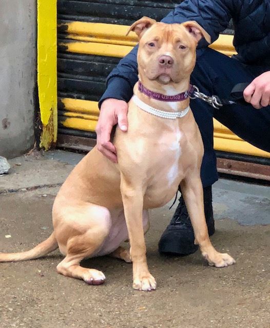 23844648_1592167394205859_8581899597925322563_n