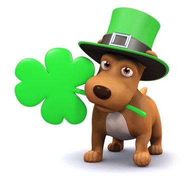 3d Cute puppy leprechaun with shamrock