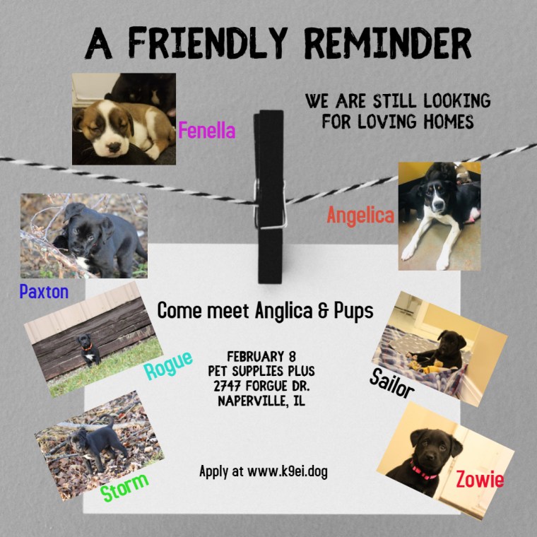 Copy of Event Reminder template - Made with PosterMyWall (1)