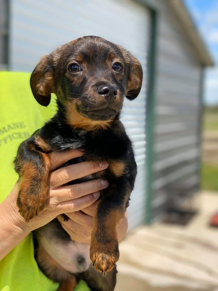 94701673_3211442455555762_9106075535108210688_n