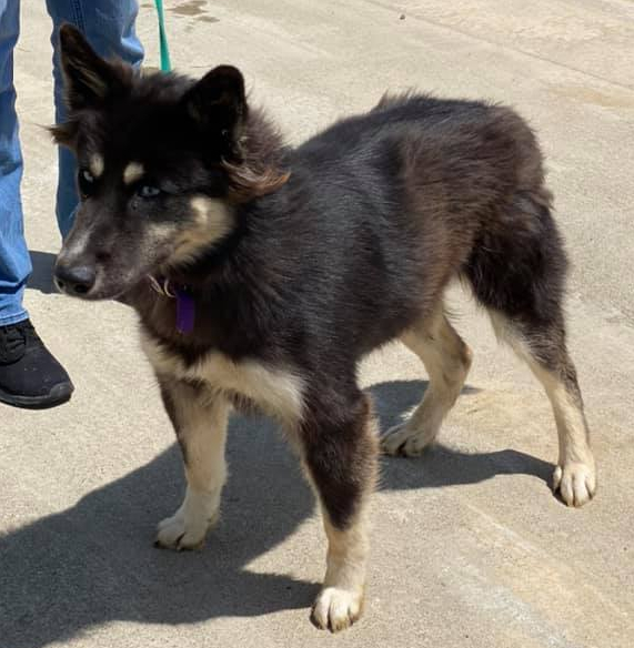 94881916_3211442488889092_8718662436967677952_n