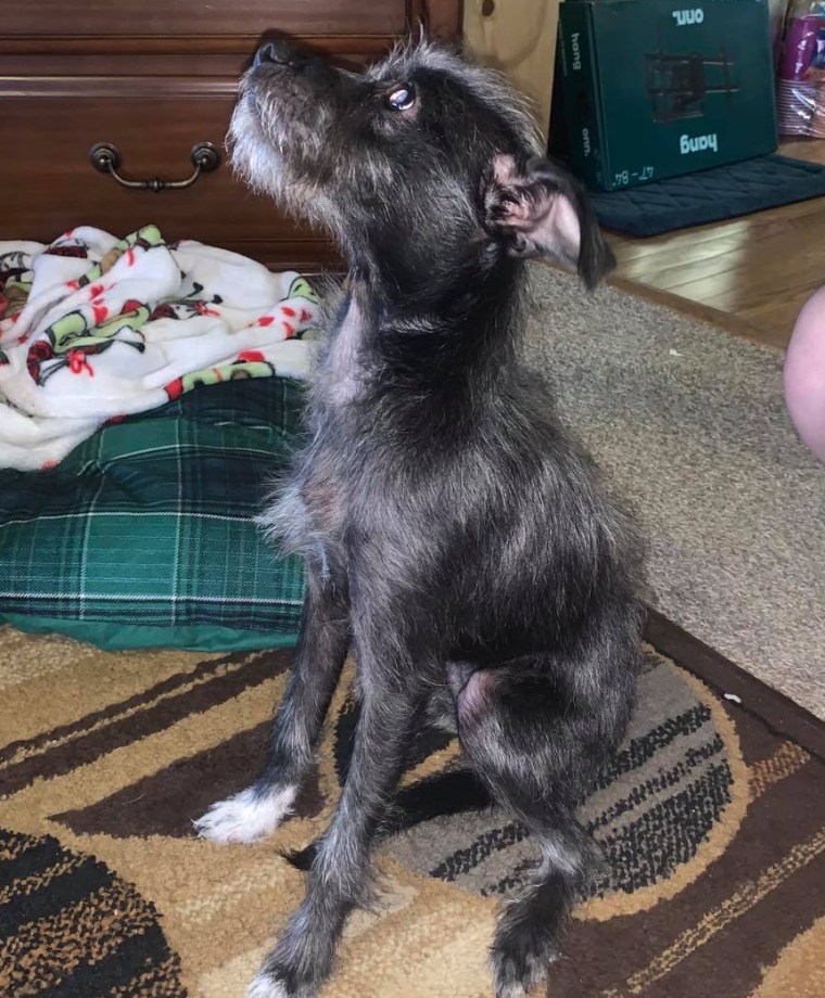 95254040_3317500521595930_3481185394156896256_n