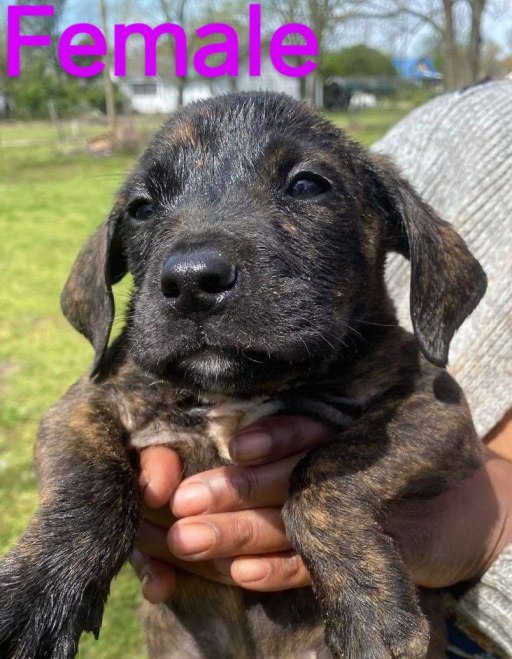 received_242599353765989~2