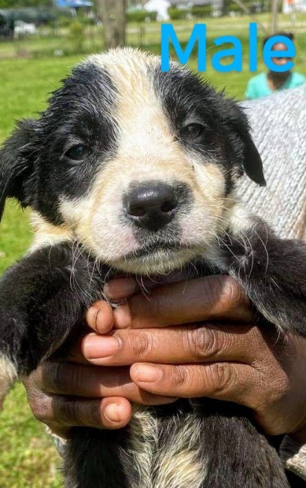 received_302608090720628~2