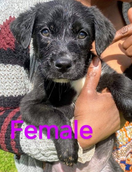 received_535438954034060~2