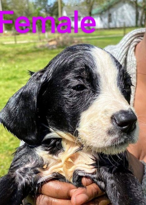 received_649085082593026~2